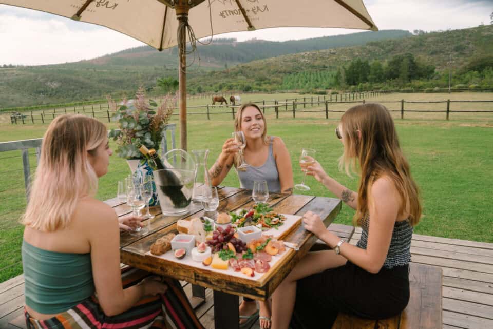 Garden Route Airport Gallery (10)