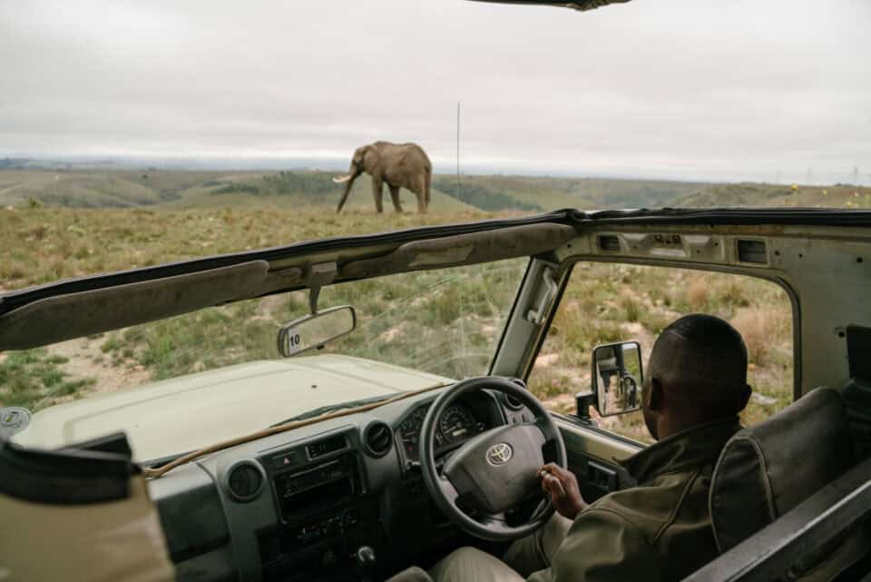 Garden Route Airport Gallery (3)